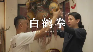 白鹤拳-哔哩哔哩_Bilibili