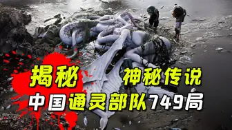 Descargar video: 中国调查灵异事件的749局是怎么来的？揭秘749局传说和真相！