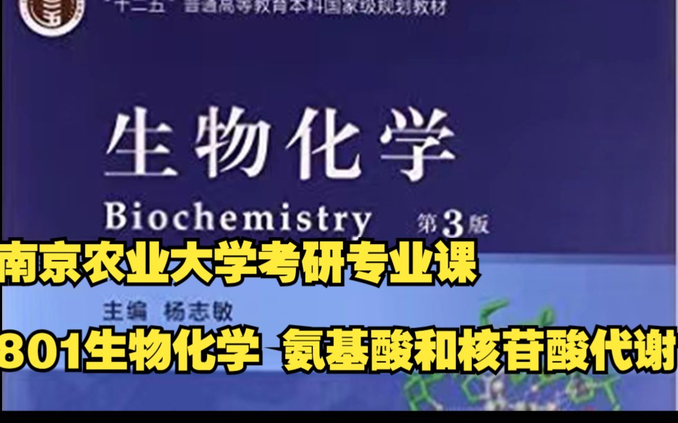 氨基酸和核苷酸代谢哔哩哔哩bilibili