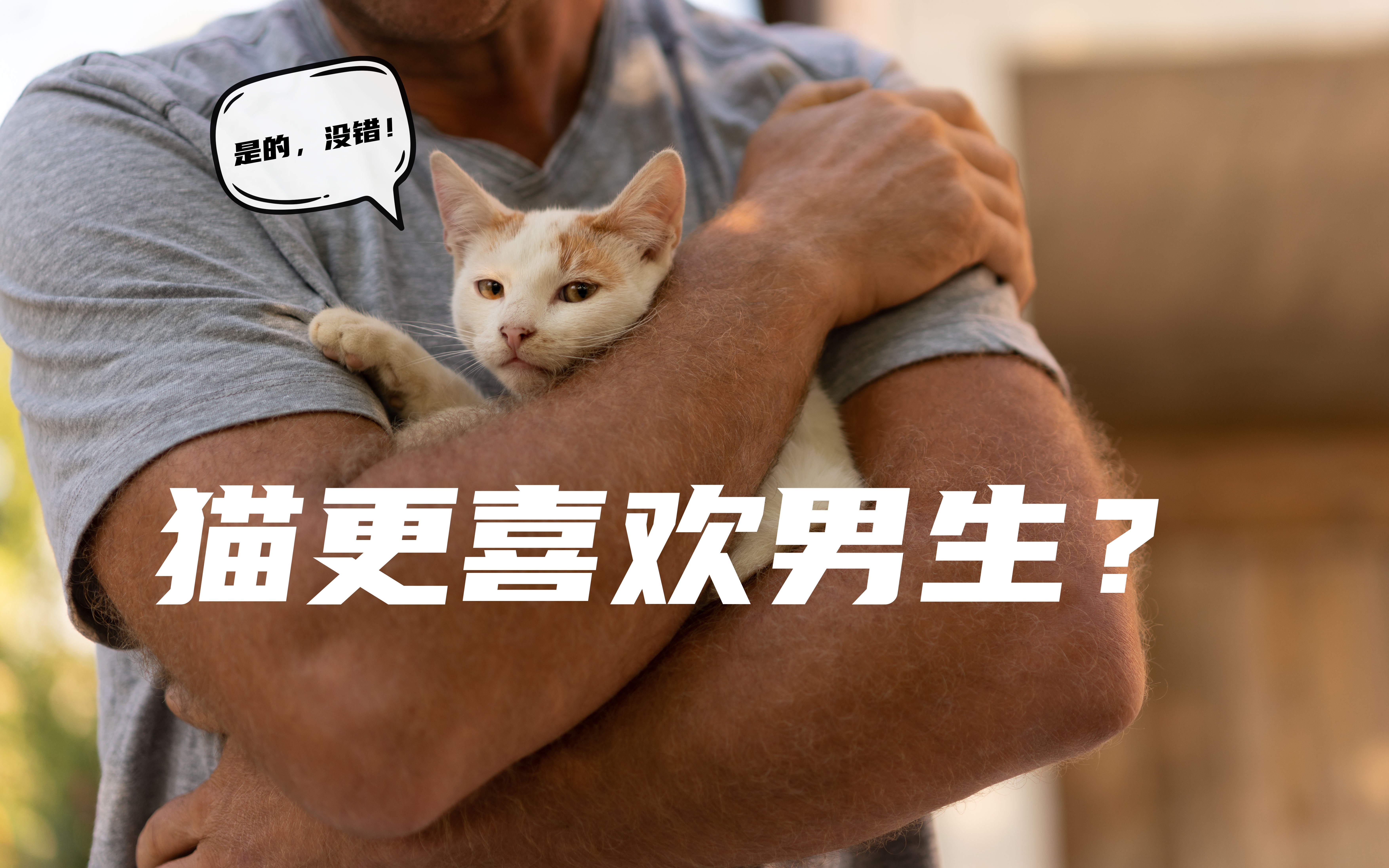 [图]猫为什么更喜欢男生？