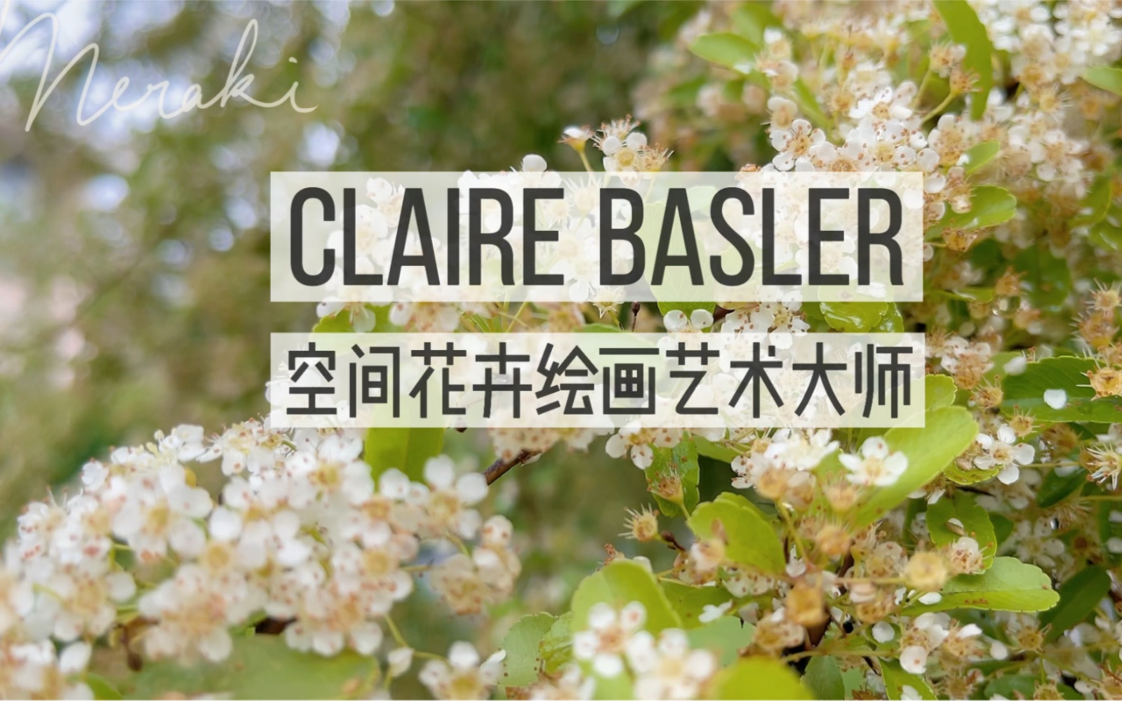 空间花卉绘画艺术大师Claire Basler哔哩哔哩bilibili