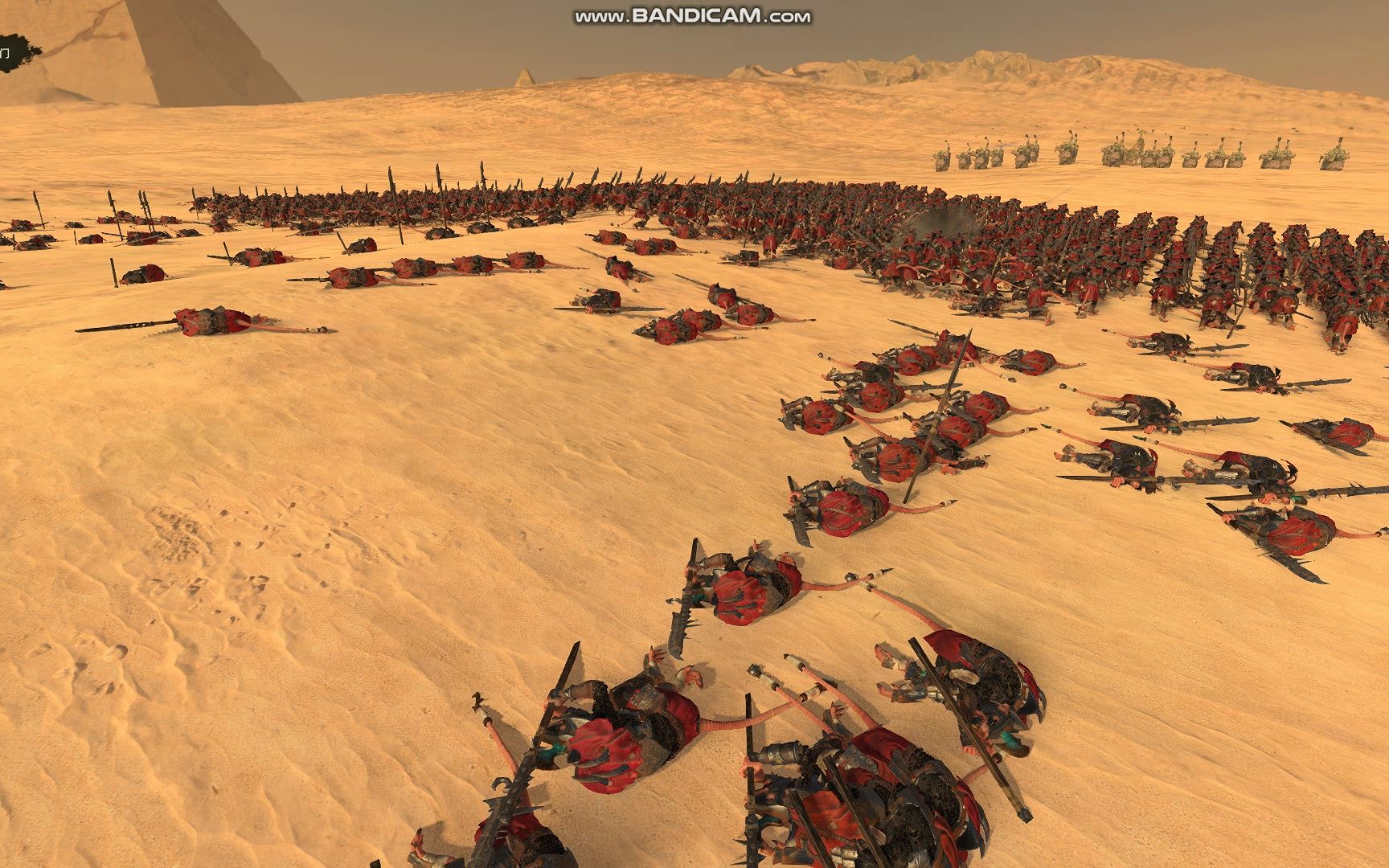 19神佑三角龙vs1600暴风鼠