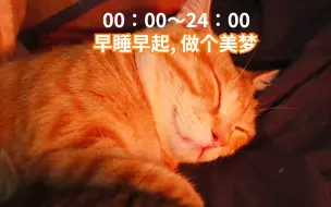 Скачать видео: 自律的橘猫：不是在救助鼠鼠，就在救助的路上