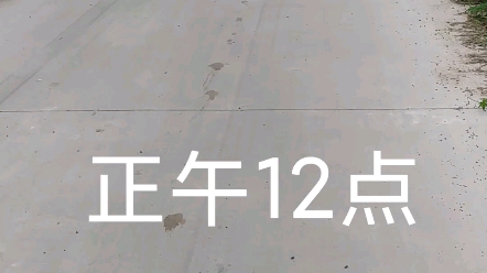 正午12点,乡村之情哔哩哔哩bilibili