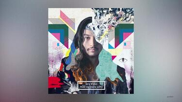 稀有全专】Srv. Vinci - Mad Me More Softly_哔哩哔哩_bilibili