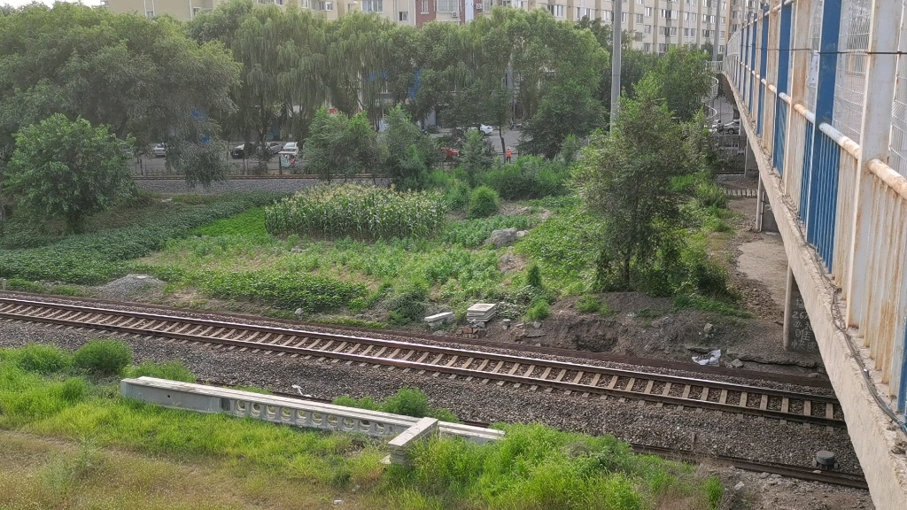 锦承线随拍(正在电气化改造,长江路立交桥上拍摄)