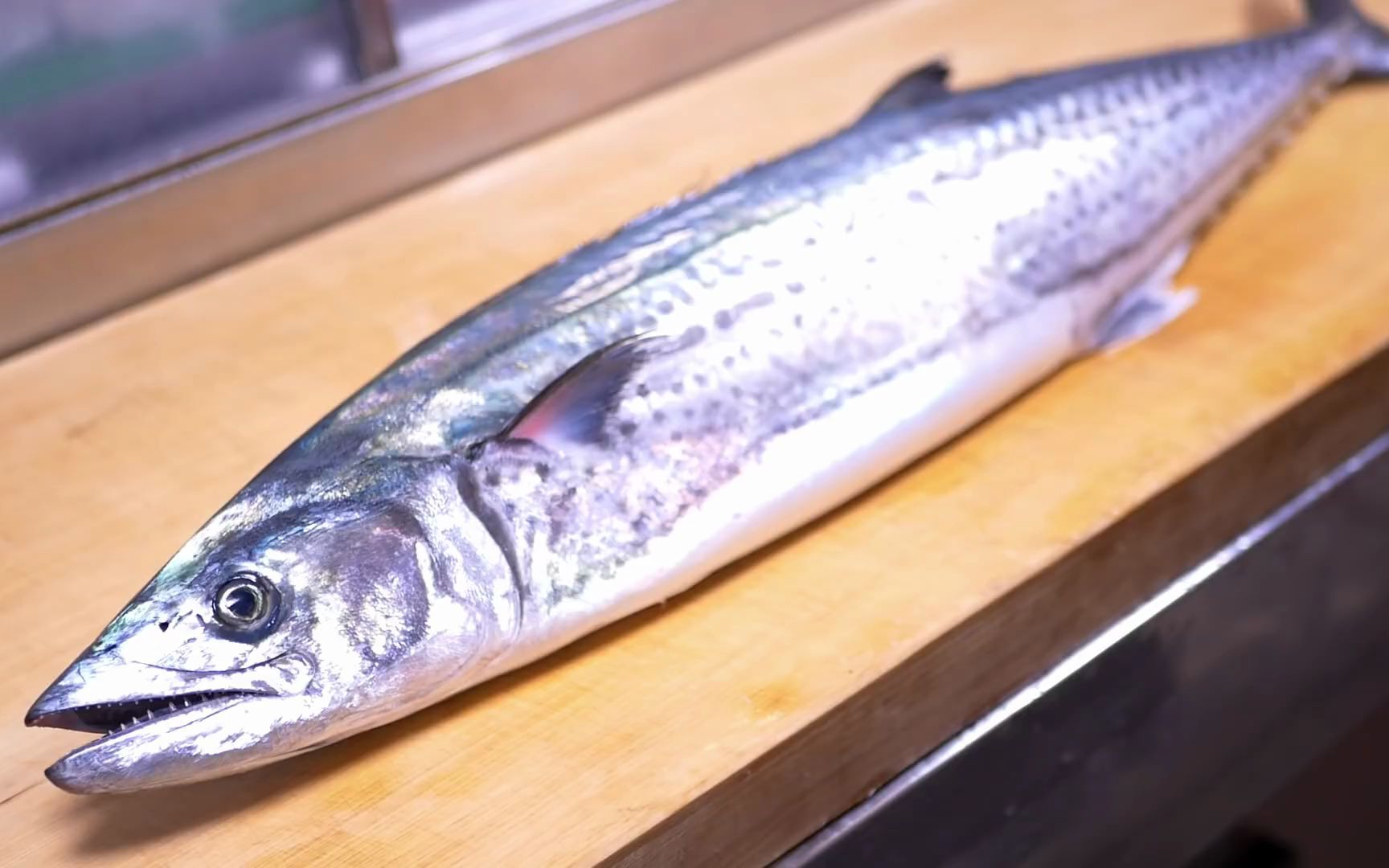 【日料刀工系列】蓝点马鲛鱼稻草半烤刺身寿司_哔哩哔哩_bilibili