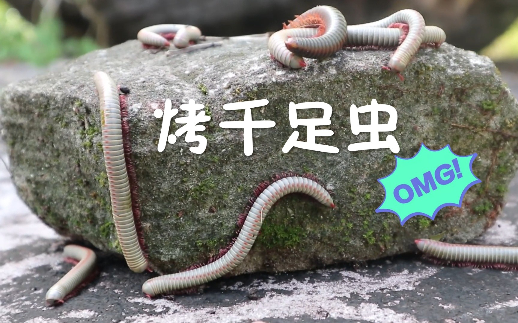 带着弟弟吃烧烤:烤千足虫【超清】