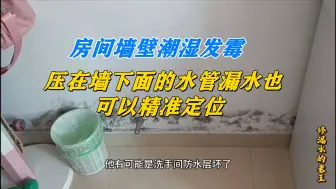 下载视频: 房间墙壁潮湿发霉，压在墙下面的水管漏水也可以精准定位