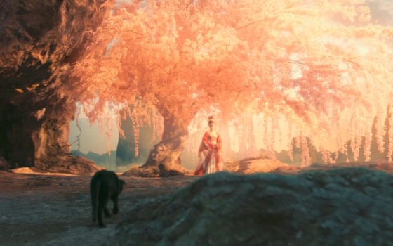 光合映画的个人空间 哔哩哔哩 Bilibili