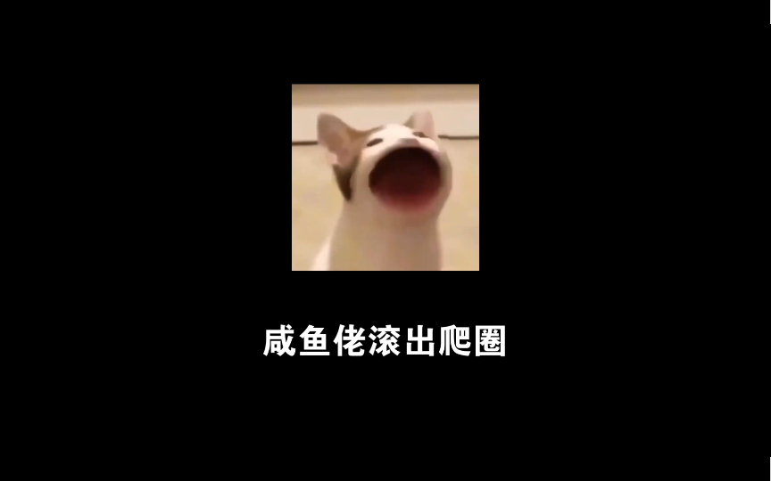 关于意见征求稿的一点意见哔哩哔哩bilibili