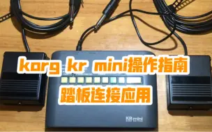 korg kr mini操作指南-踏板连接应用