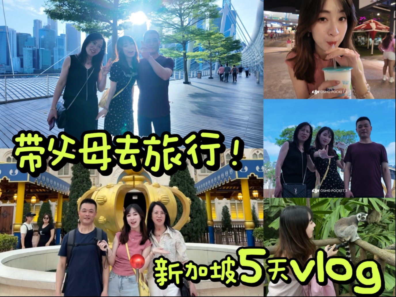 从职场新人到全家导游!新加坡5天旅行vlog哔哩哔哩bilibili