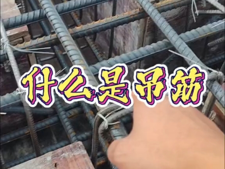 吊筋,也叫元宝筋