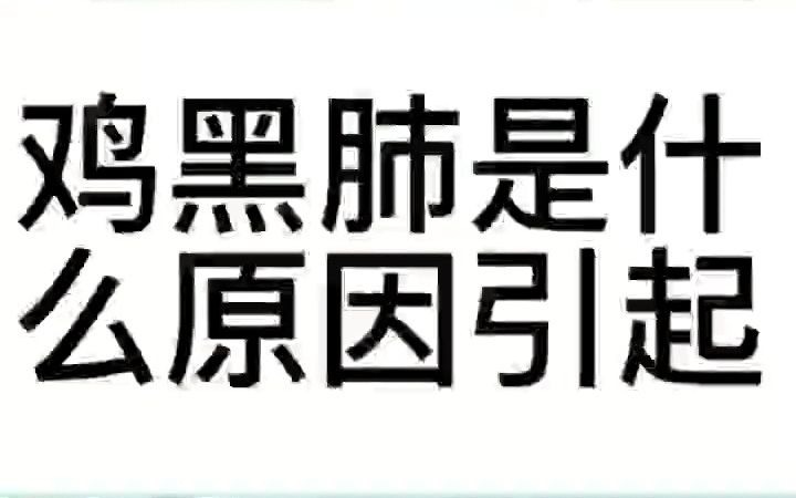 鸡病肺发黑是什么原因 肉鸡黑肺怎么引起的 鸡的什么病能使肺变黑 鸡肺萎缩发黑怎么办哔哩哔哩bilibili