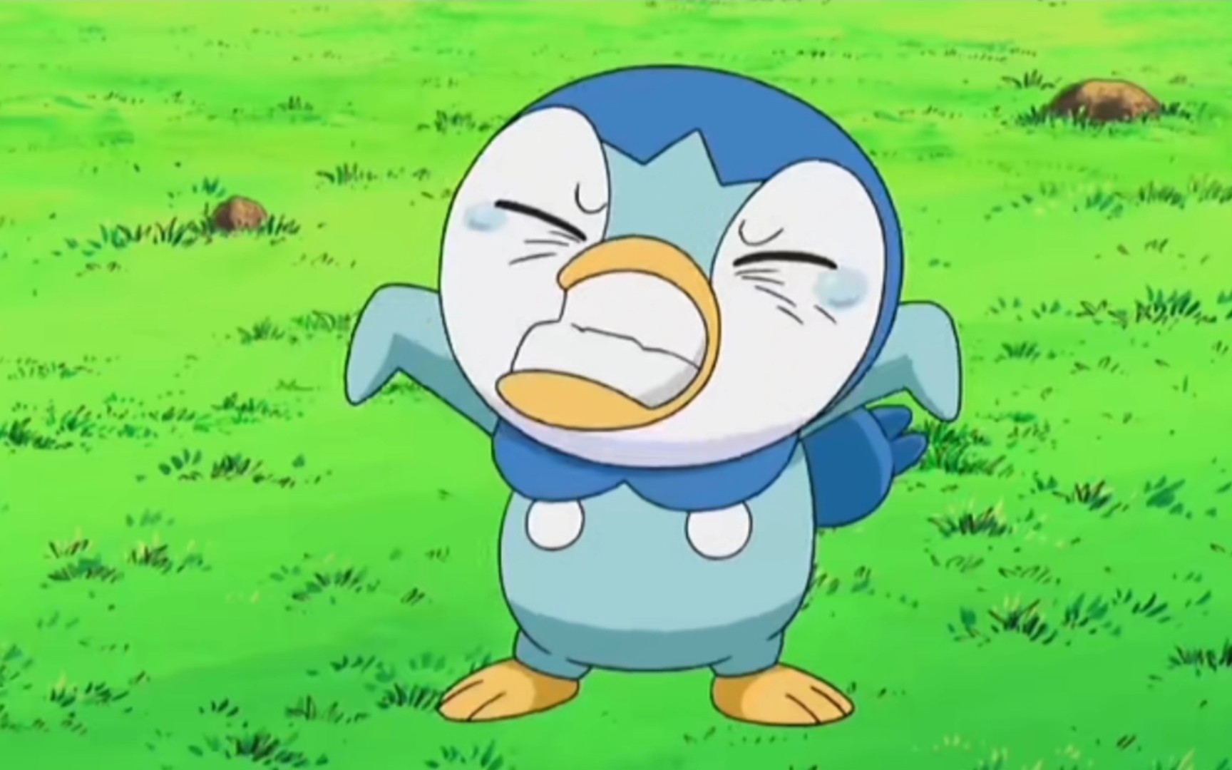 【精灵宝可梦】是什么让波加曼恨得咬牙切齿,怒揍圆陆鲨