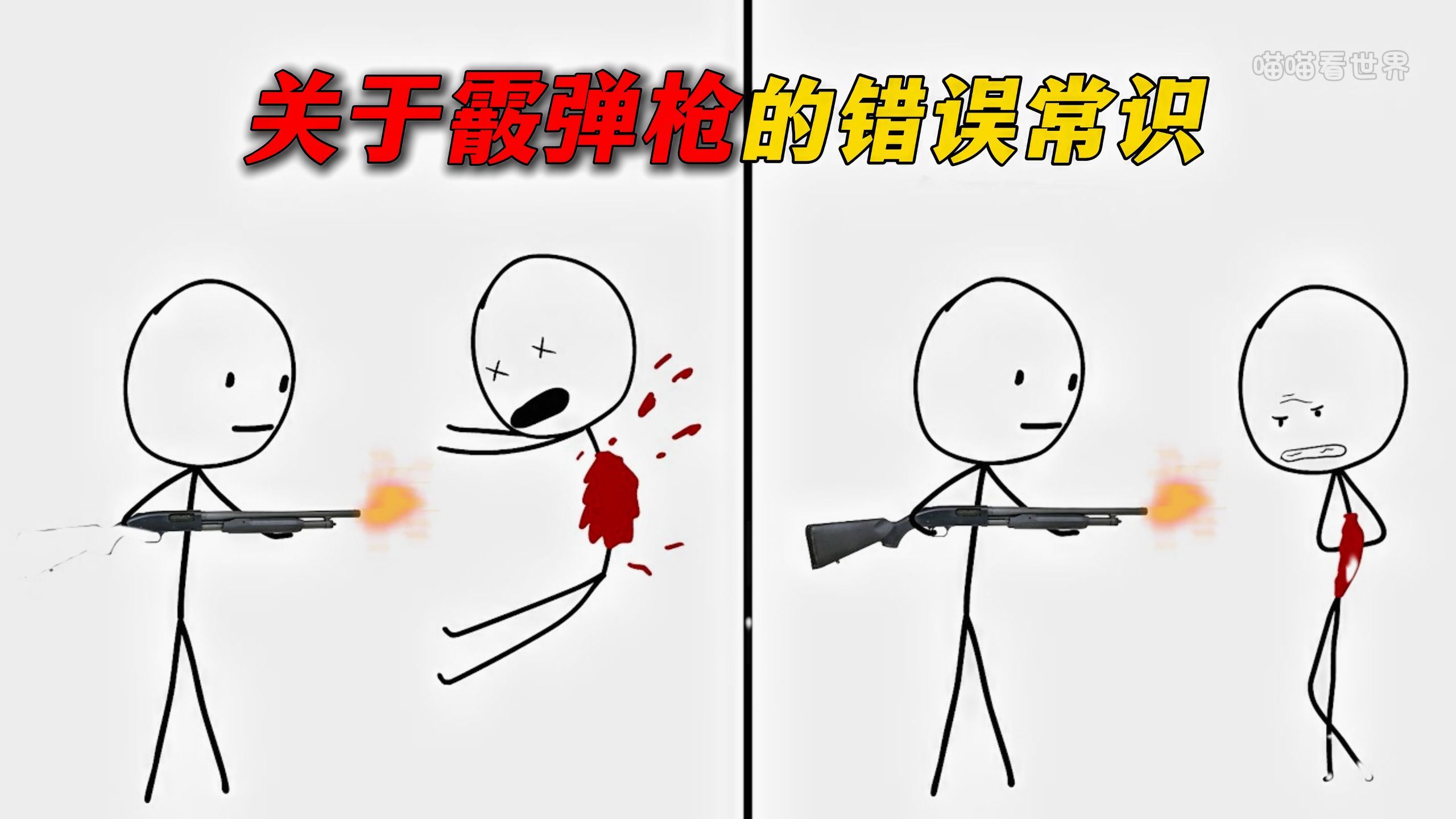 关于霰弹枪的那些误区！