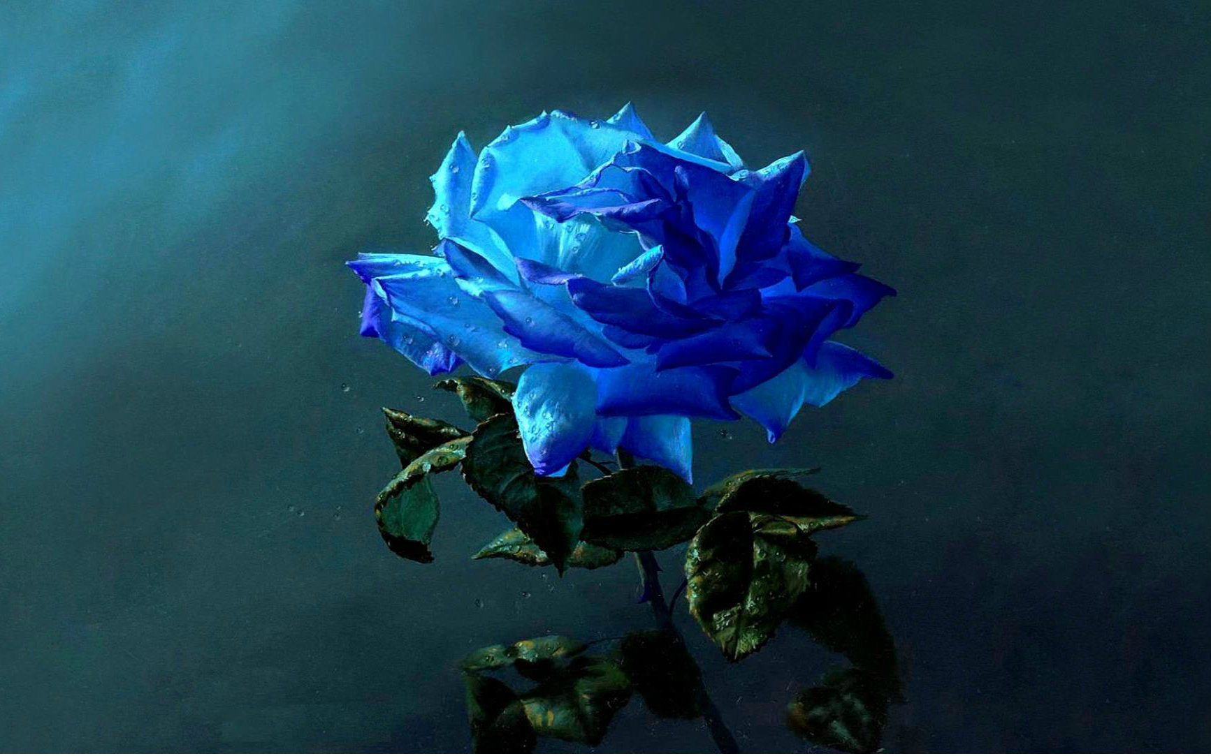 skrux - blue rose_哔哩哔哩_bilibili