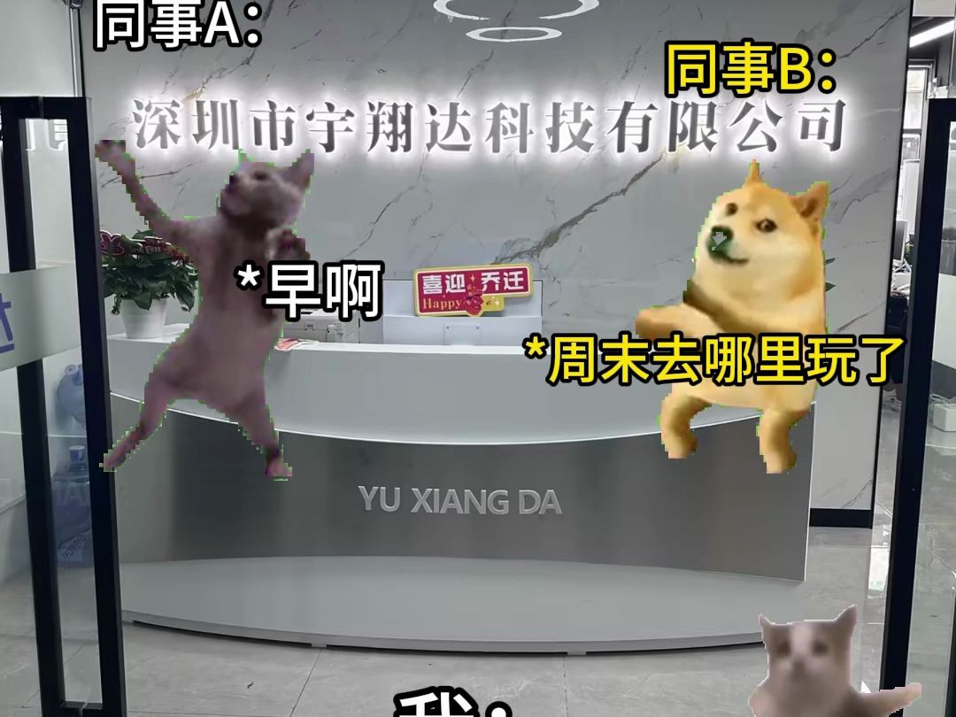 芯片公司的猫meme #猫meme #00后 #芯片哔哩哔哩bilibili