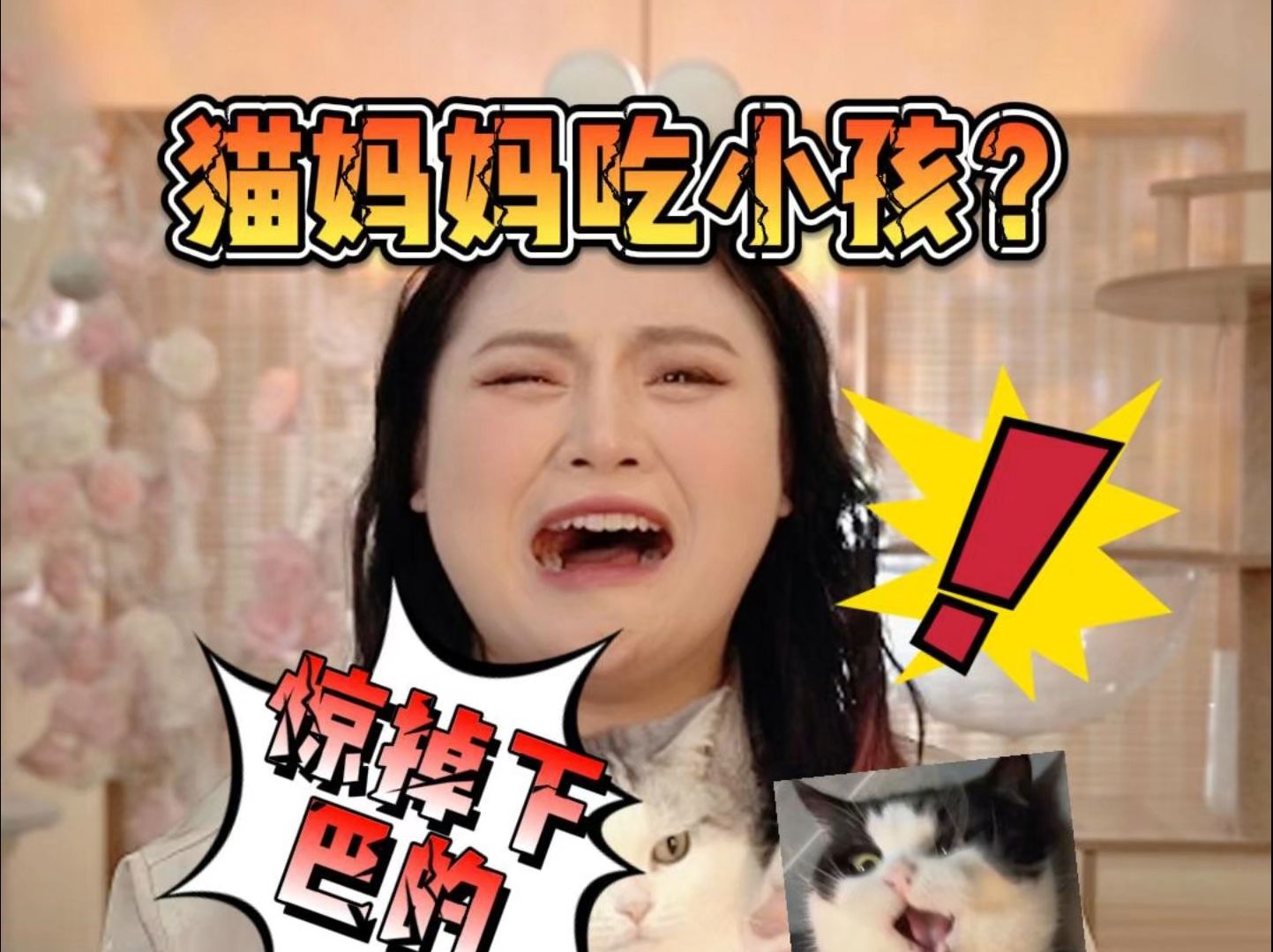 [图]震惊！猫妈妈居然会吃掉自己的孩子？