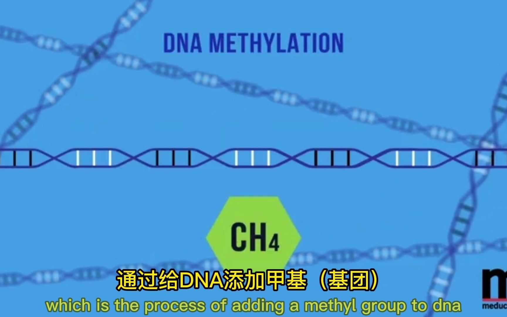 从表观遗传学角度如何看待抑郁症哔哩哔哩bilibili