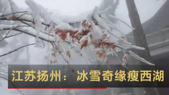 Скачать видео: 江苏扬州：冰雪奇缘瘦西湖