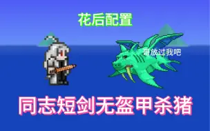 Download Video: 【terraria】猪鲨：哈哈，这个萌新盔甲都不穿就拿把同志短剑过来了