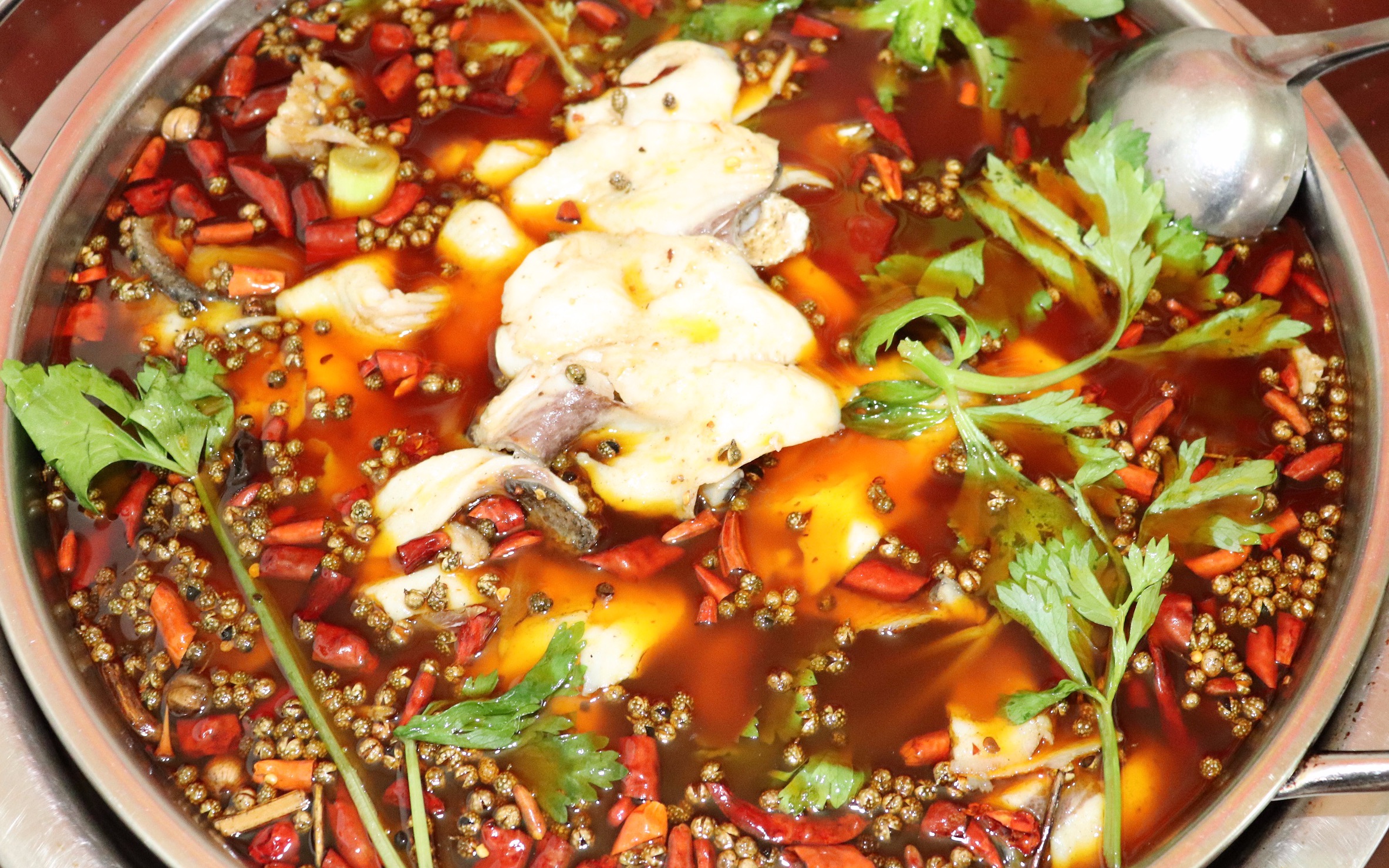 成都这家咔咔头的火锅鱼,只有正宗的吃货才找得到!