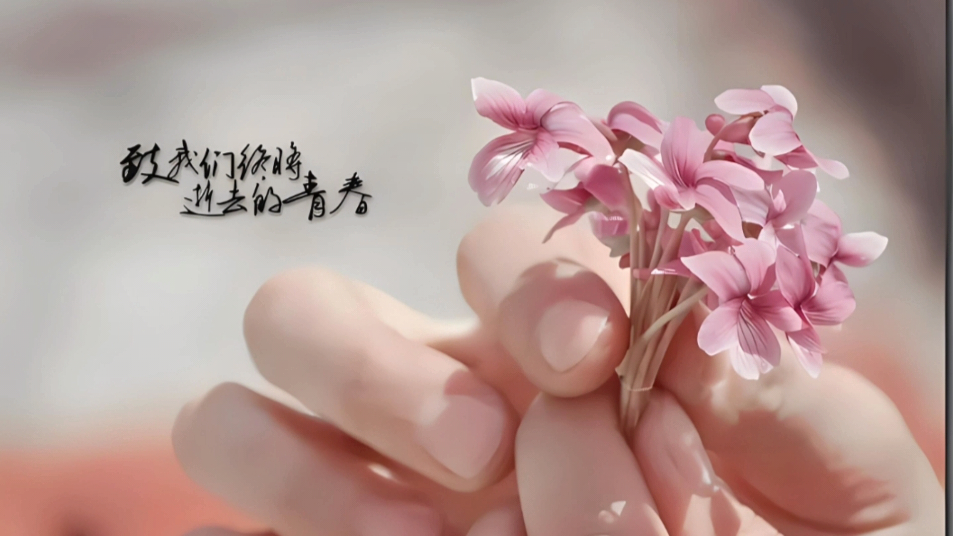 愿你青春无悔!致我们终将逝去的青春!