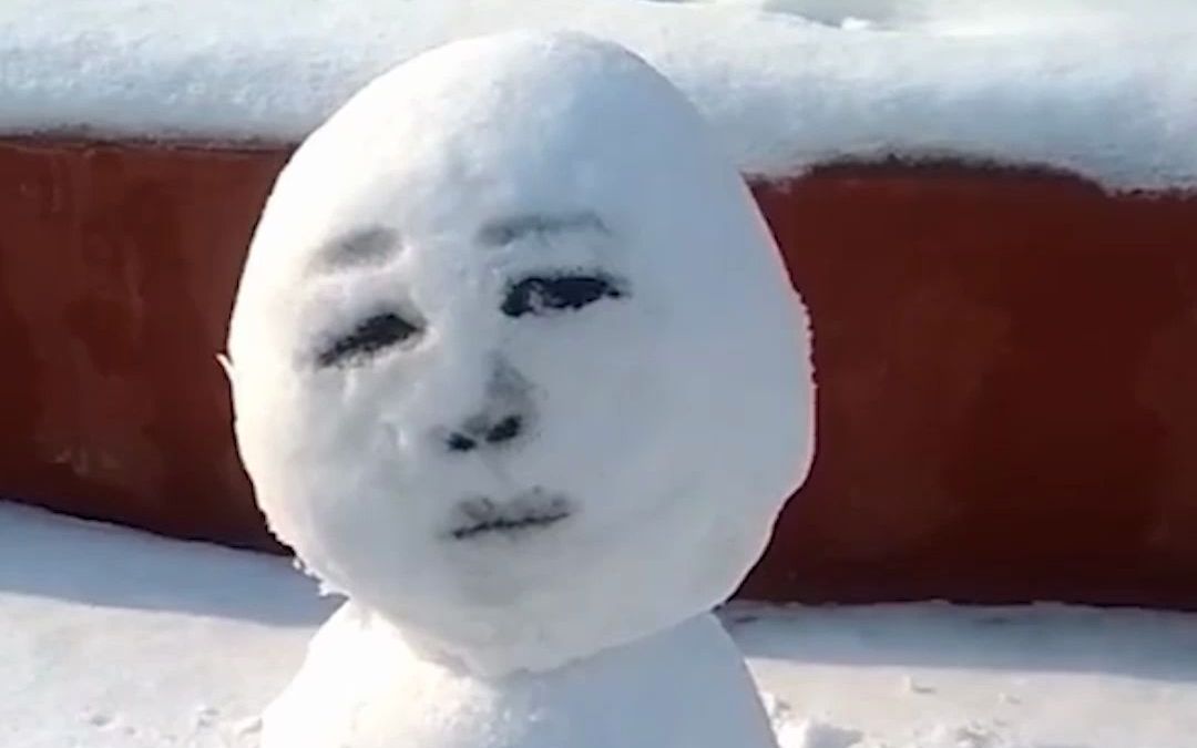 [图]雪花飘飘北风萧萧