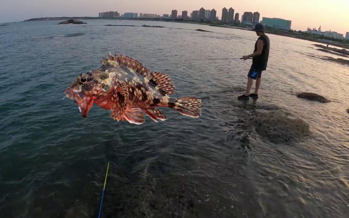 菜鸟海钓第一季第一场,海蚯蚓钓海鲈鱼沙光鱼,高手来点评一下哔哩哔哩bilibili