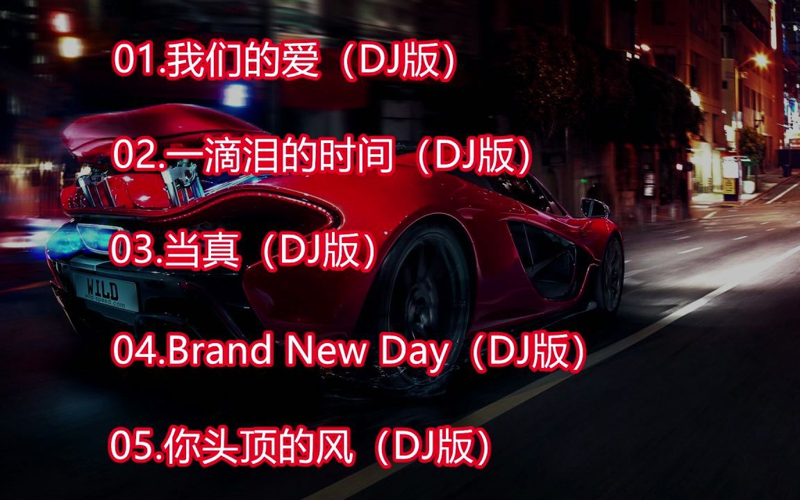 [图]【DJ精选】我们的爱+一滴泪的时间+当真+Brand New Day+你头顶的风