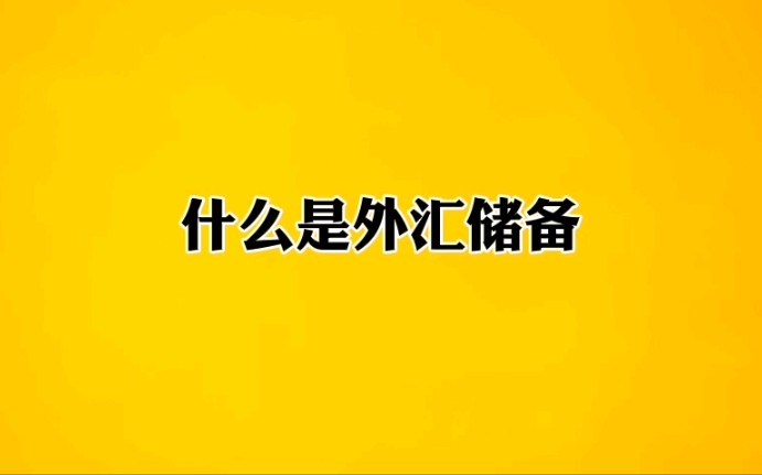 什么是外汇储备?哔哩哔哩bilibili