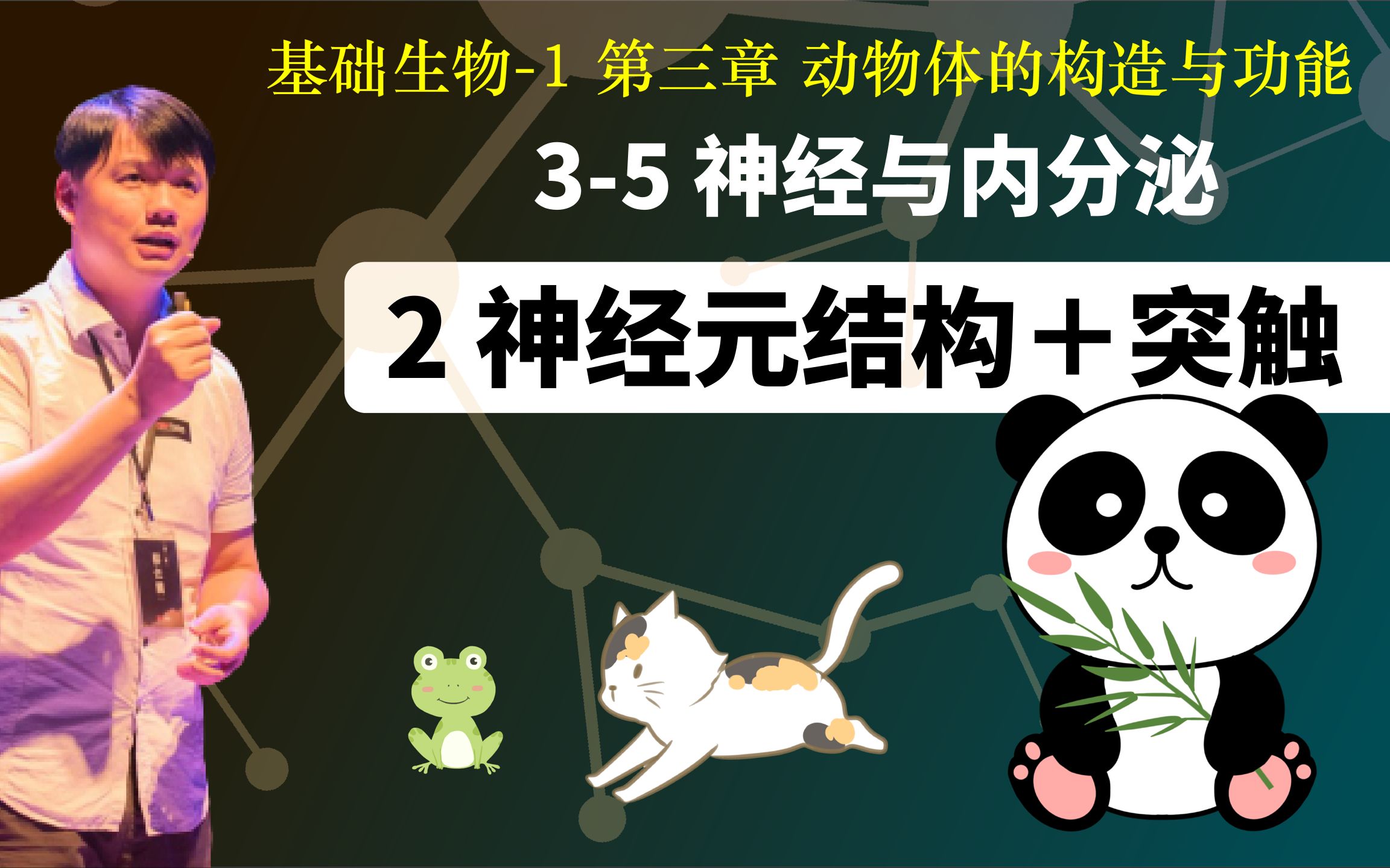 基础生物学35.2 神经元结构+突触哔哩哔哩bilibili