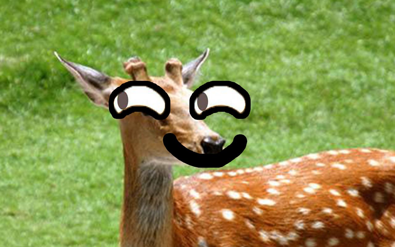 【非常普通的鹿】普通小鹿,在线传教_哔哩哔哩_bilibili