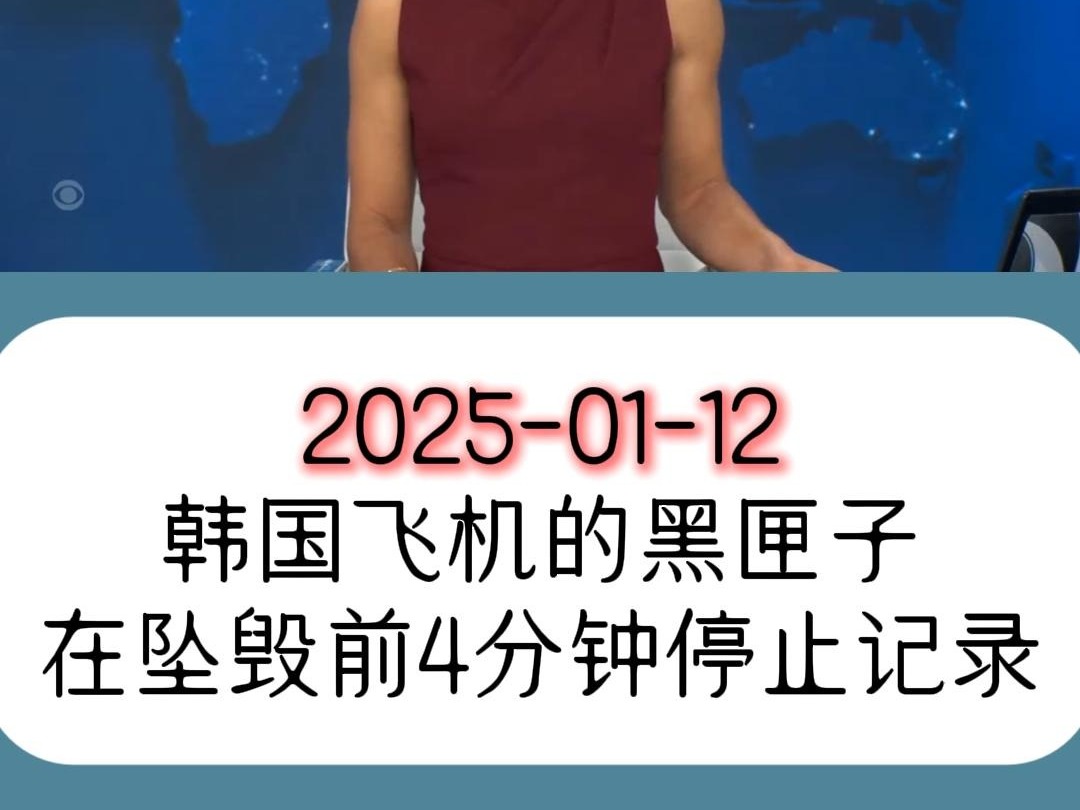 韩国飞机黑匣子在坠毁前约4分钟停止记录哔哩哔哩bilibili