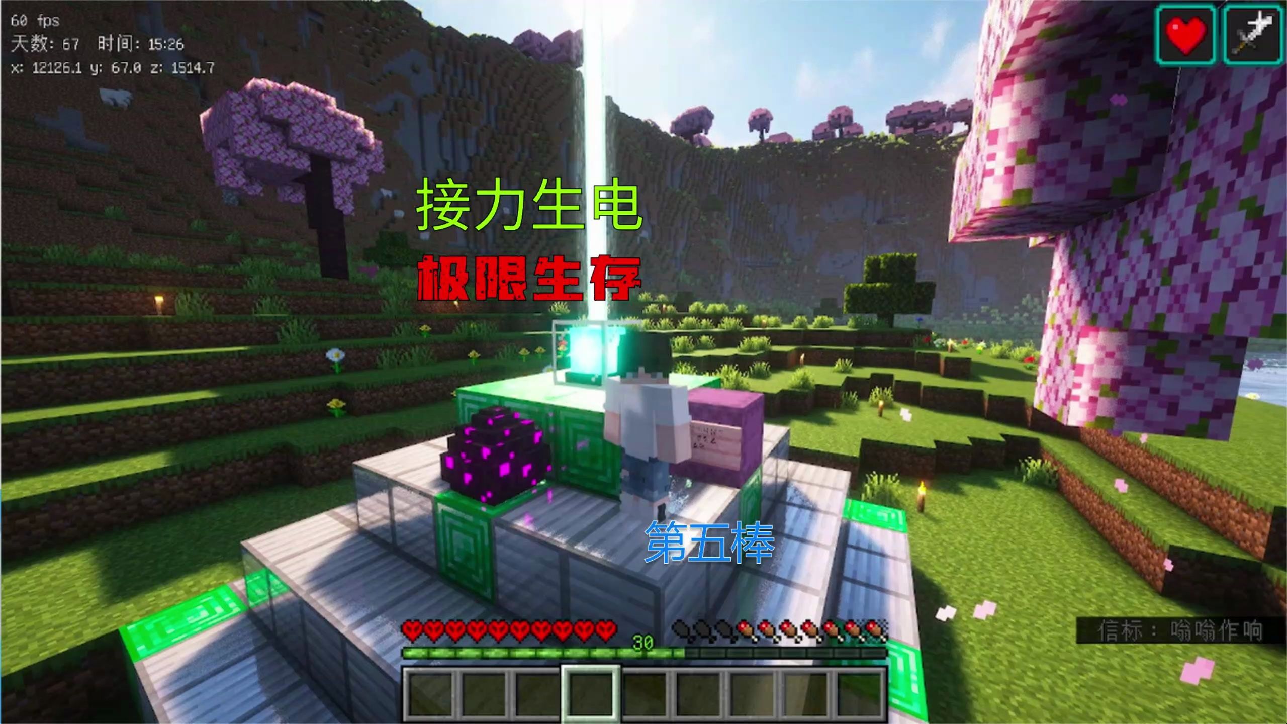 接力生电极限生存(第五棒)