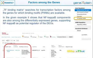 Download Video: TRANSFAC 转录因子数据库 FMatch工具 的 RNA-seq 分析示例