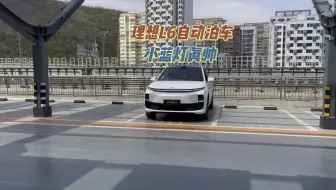 Download Video: 全新理想L6自动泊车，小蓝灯亮起的那一刻最帅！