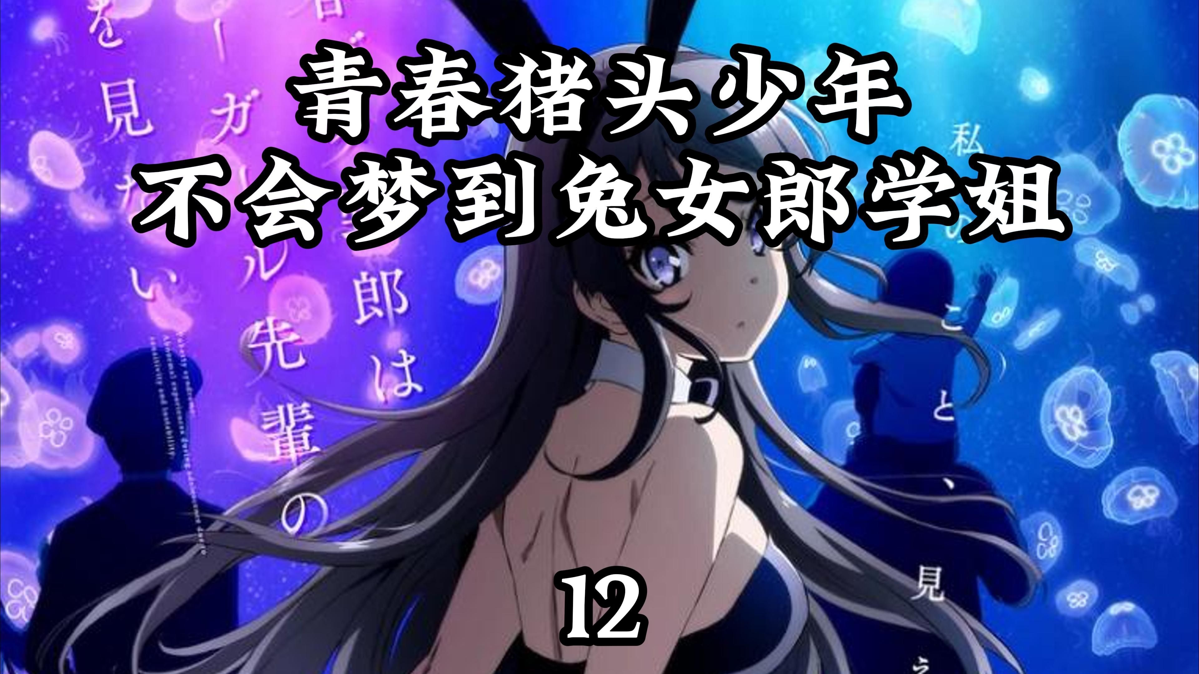 青春猪头少年不会梦到兔女郎学姐12