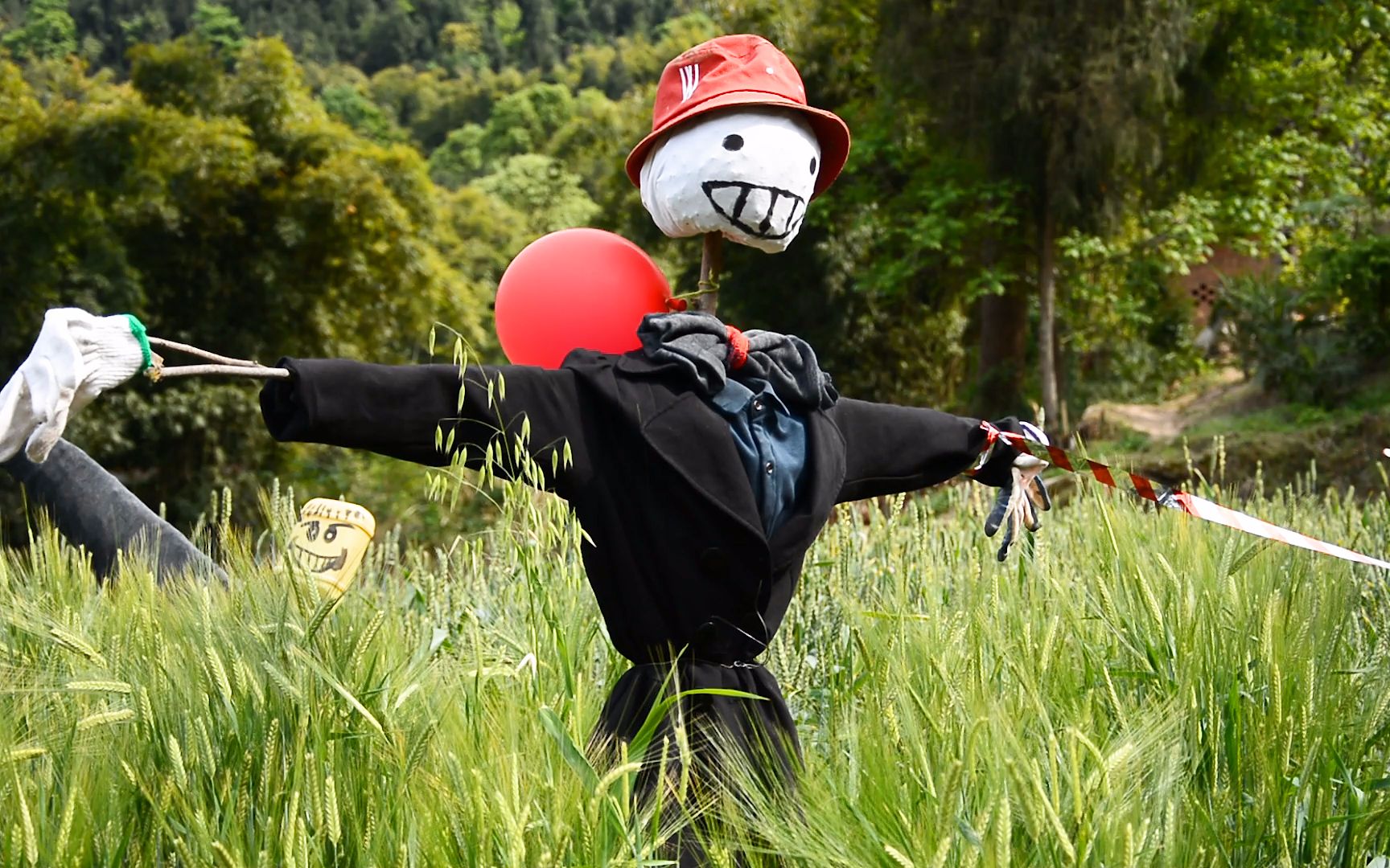 稻草人 | 麦田里的守卫者