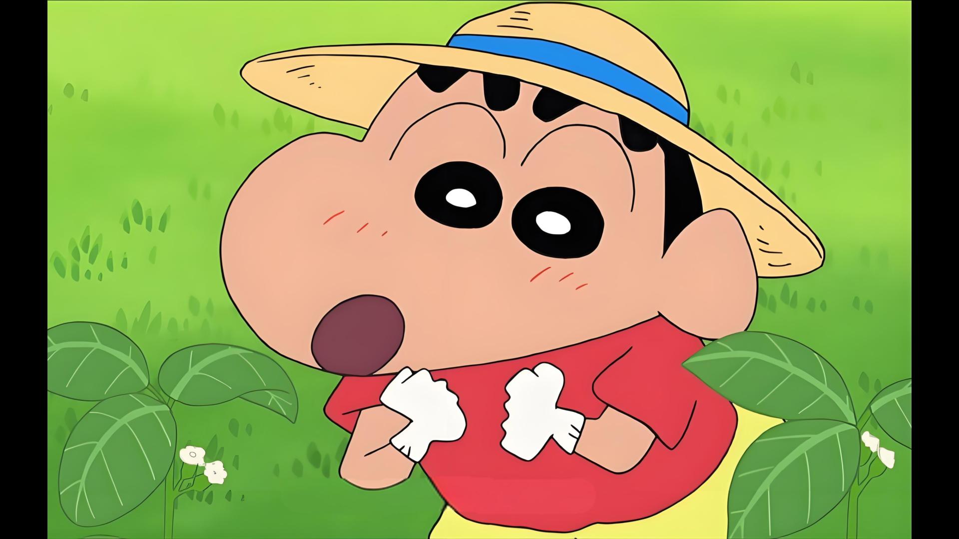 【蜡笔小新睡前必看篇】让新酱陪你进入梦乡吧