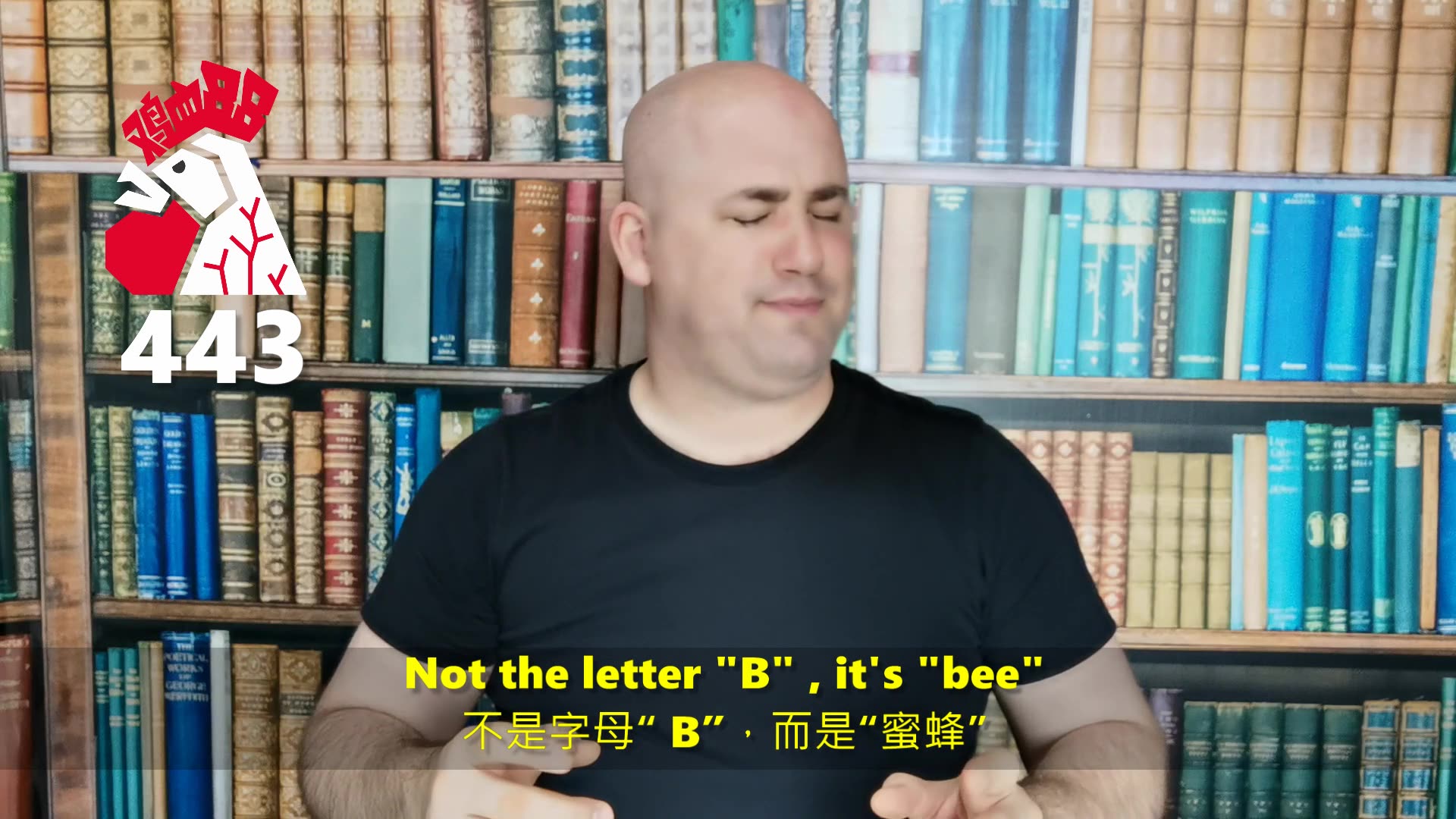 [图]鸡血88 Busy bee 443