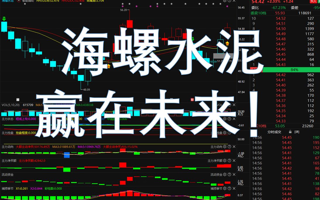 “碳中和”带来巨大想象空间,海螺水泥赢在未来!哔哩哔哩bilibili