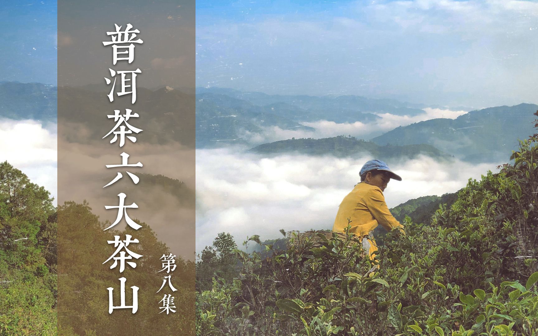 [图]本卿闲聊/普洱茶干货/云南普洱茶六大茶山