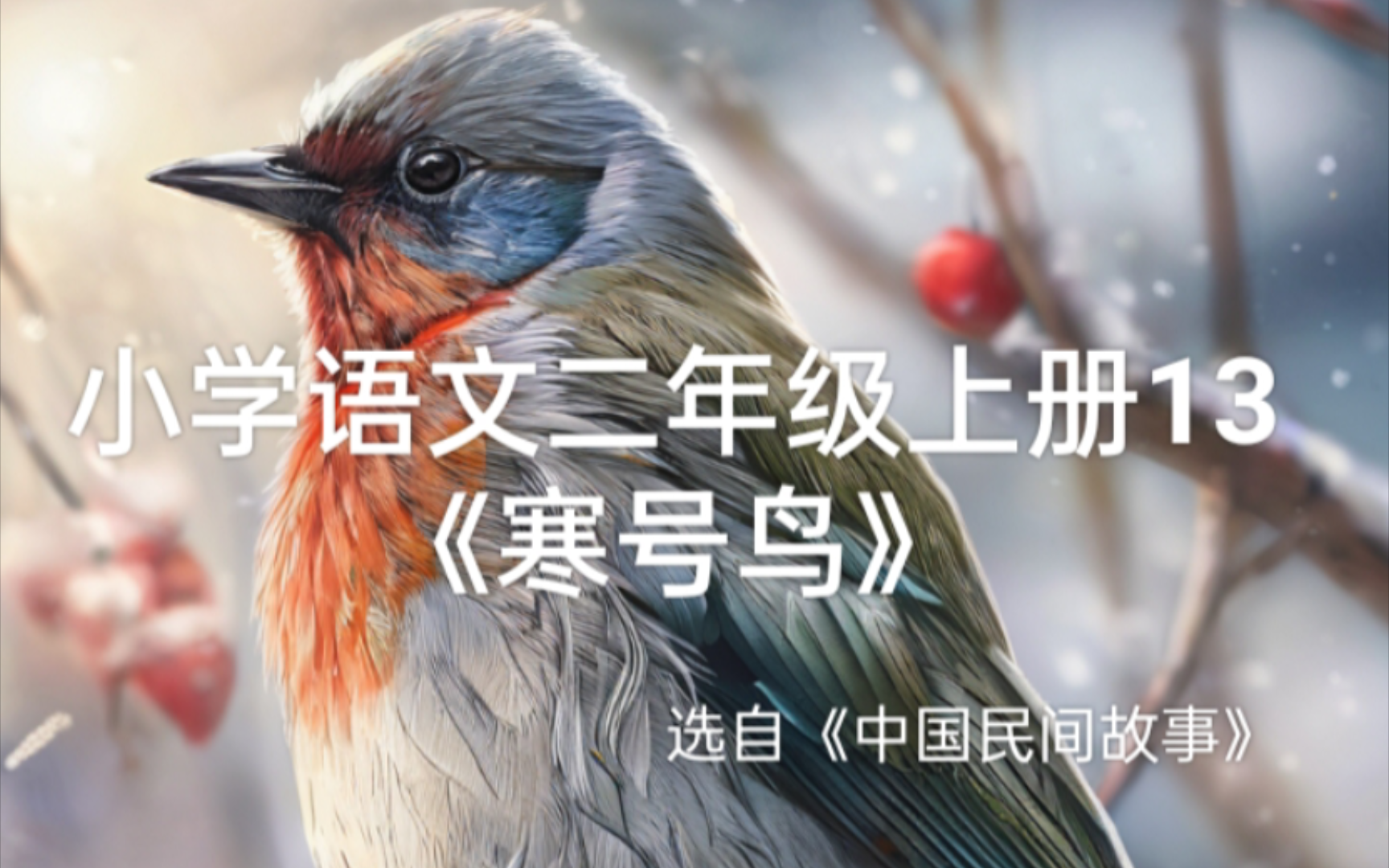 小学语文二年级上册13《寒号鸟》选自《中国民间故事》