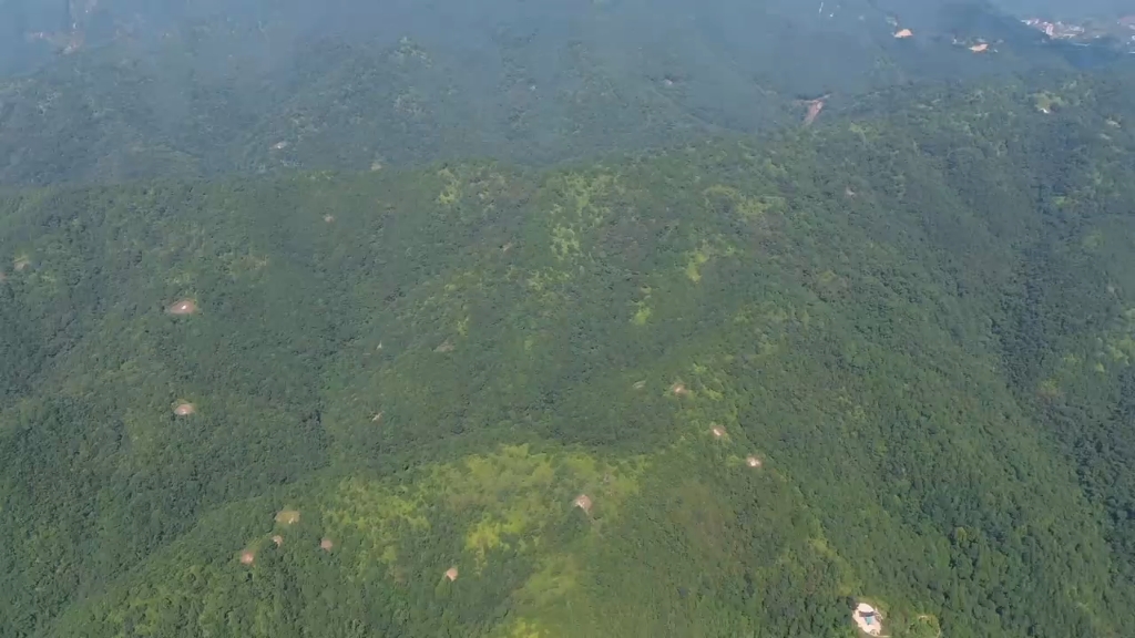航拍:广东河源紫金【叶氏开基祖~叶玉堂墓】风水宝地喝形【鹧鸪啼地】