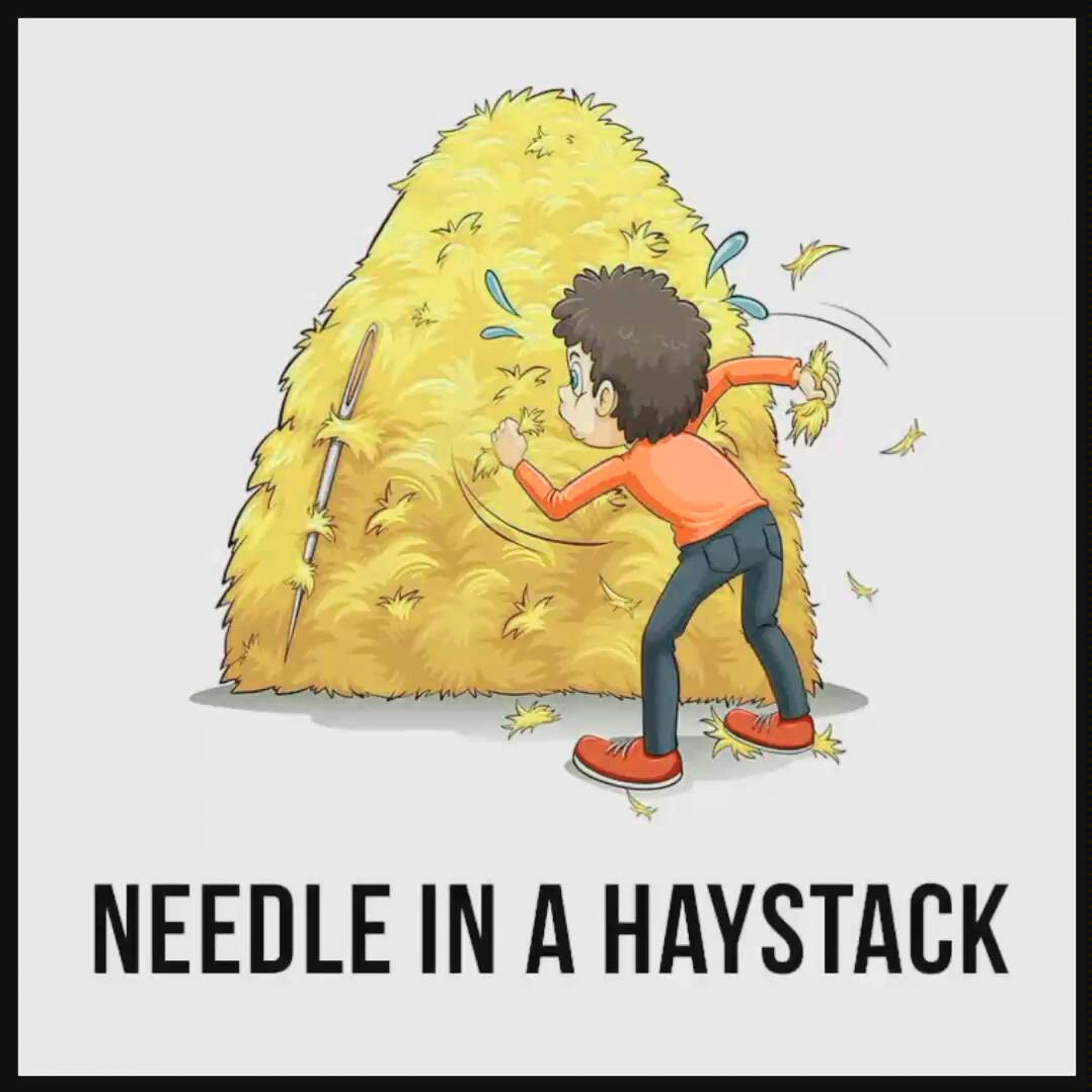 【idiom】needle in a haystack