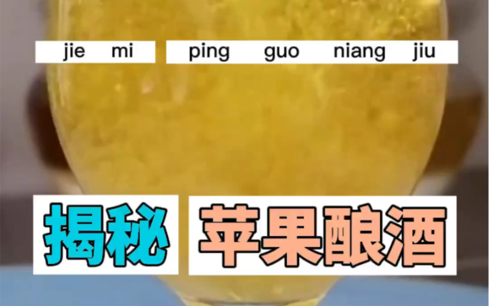 [图]家庭自制苹果酒教程