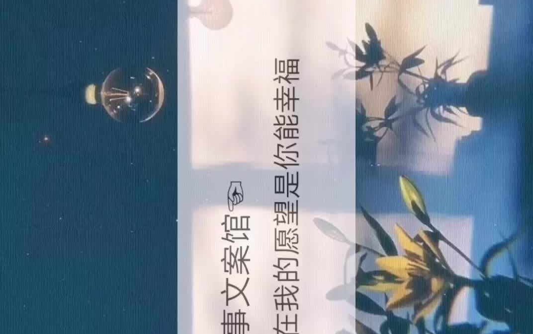 [图]第二十七集｜现在我的愿望是你能幸福，而以前我的愿望是我们能幸福情话